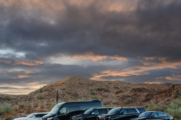 18efd114ae84af34c419d527bfec76f8-cover-large